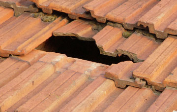 roof repair Longdon